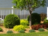 Our Landscapes
