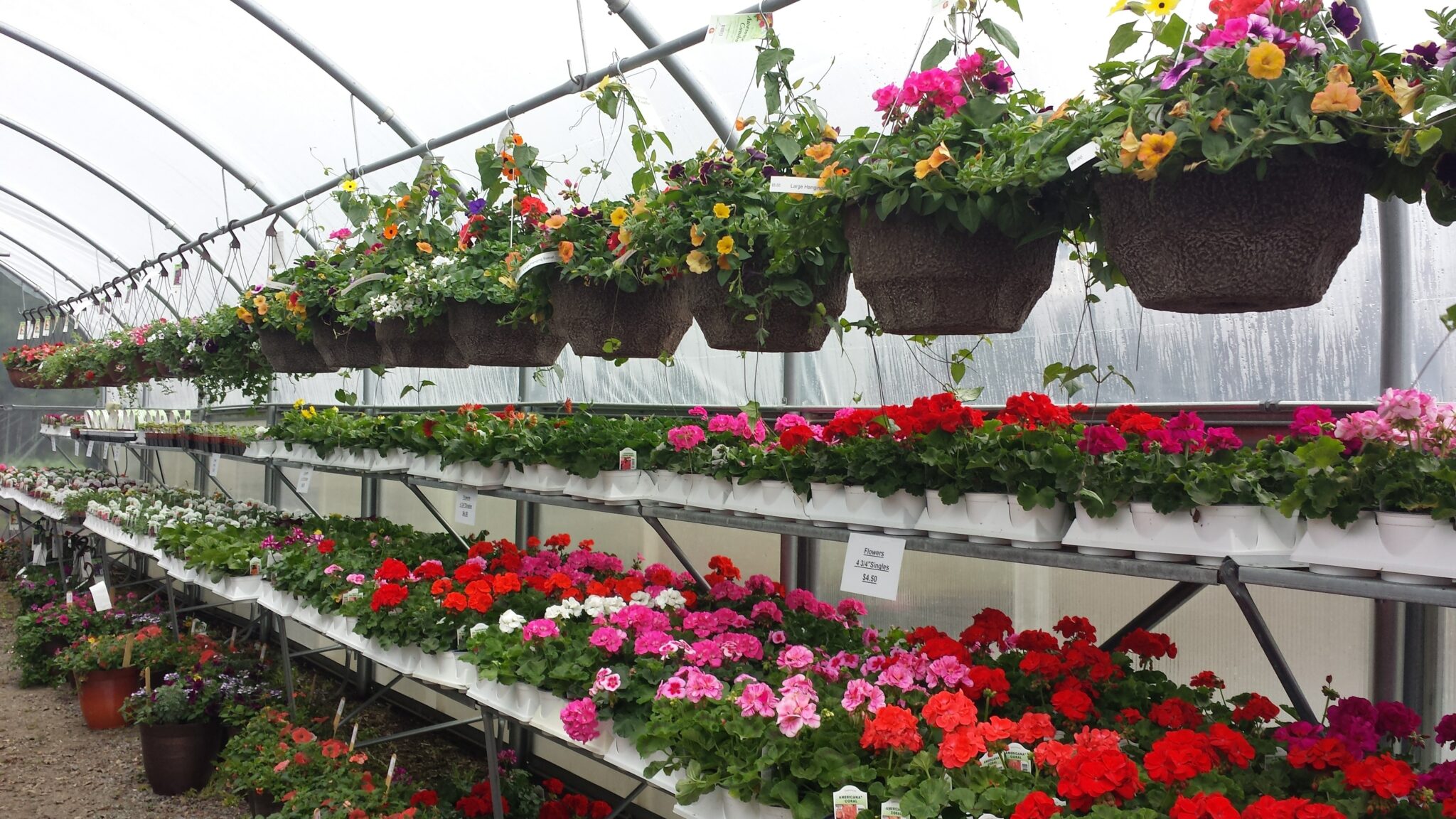 Nursery News Redwood Falls Nursery