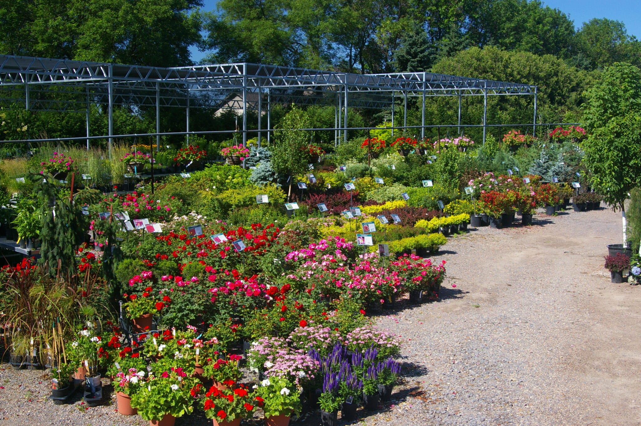 Request A Quote - Redwood Falls Nursery