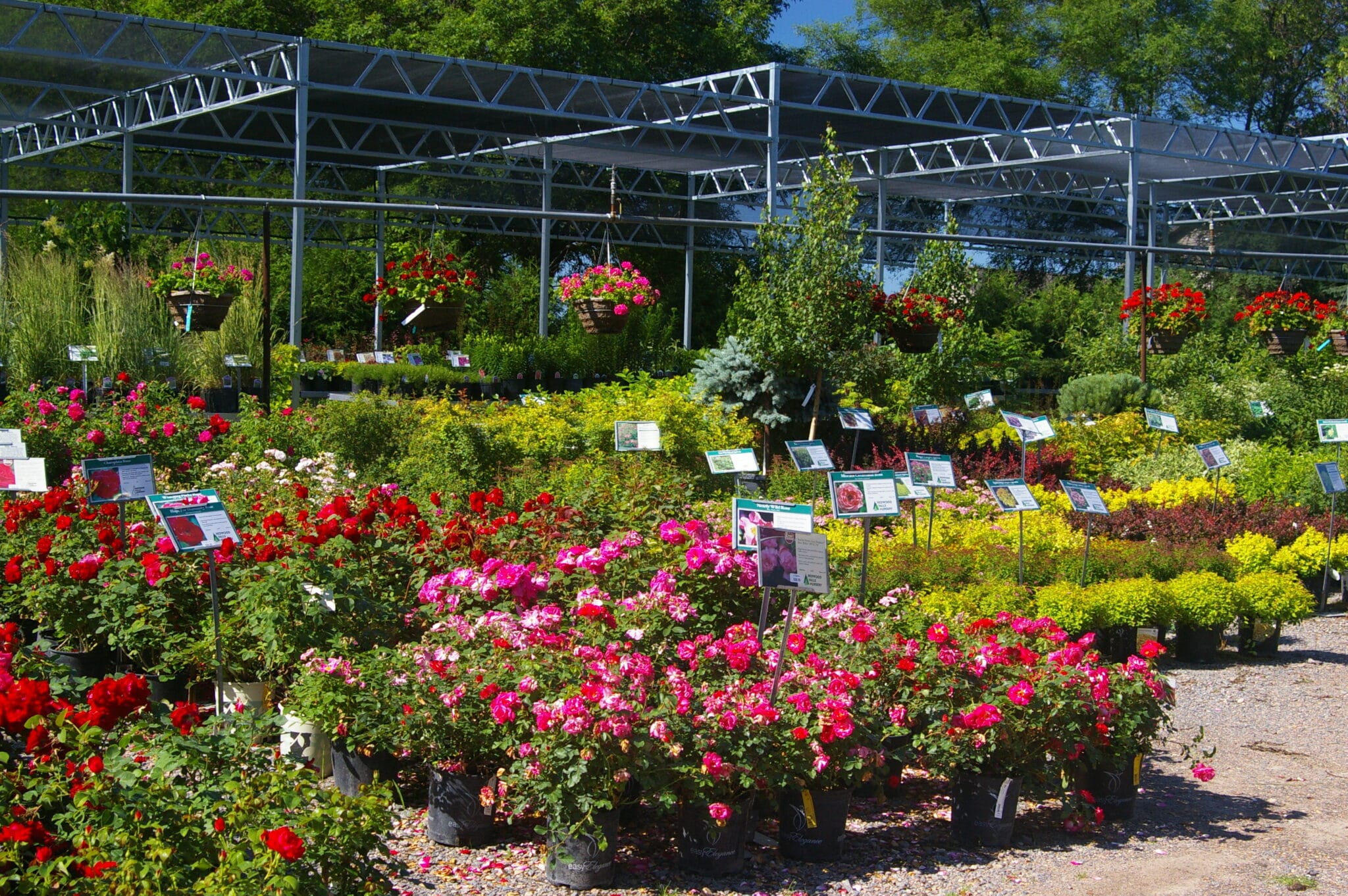 Our Guarantee - Redwood Falls Nursery