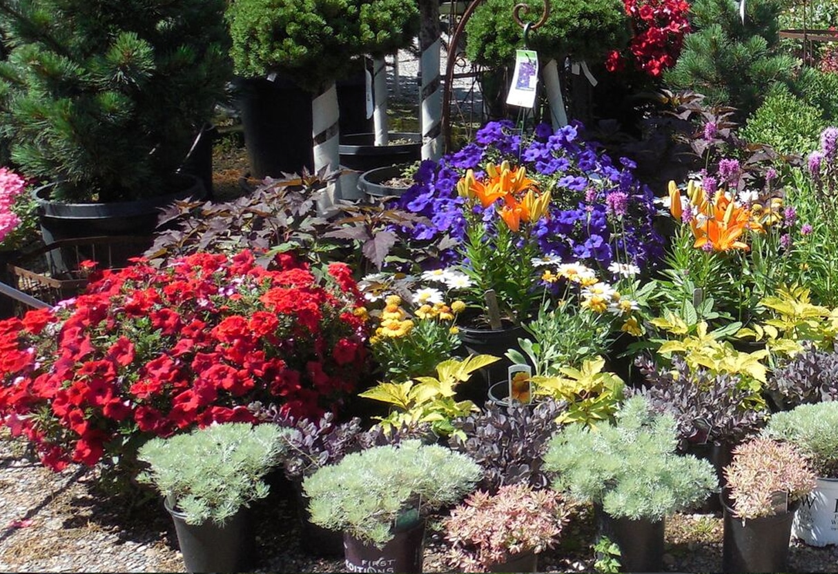 Redwood Falls Nursery and Landscaping