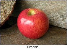 AppleFireside